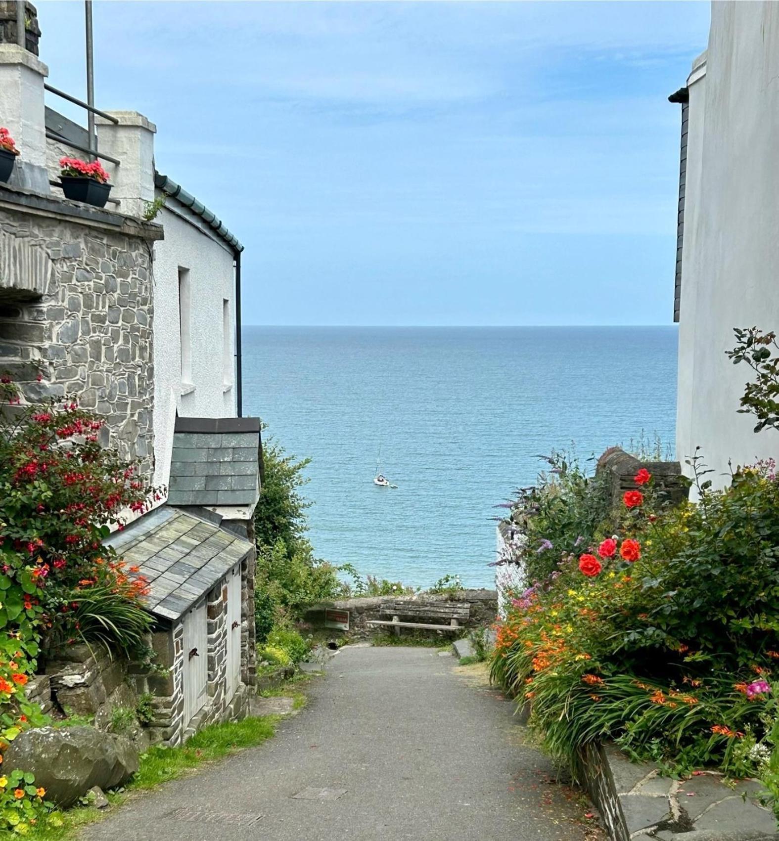 Cosy Boathouse Cottage By The Sea With Log Burner Bucks Mills Εξωτερικό φωτογραφία